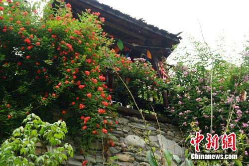 如今的甘堡藏寨景色。<a target='_blank' href='http://www.chinanews.com/' >中新网</a>记者 宋宇晟 摄
