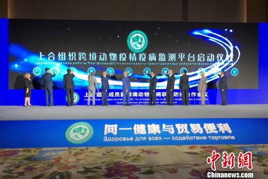 图为上合组织跨境动物疫情疫病监测平台启动仪式。 梅镱泷 摄