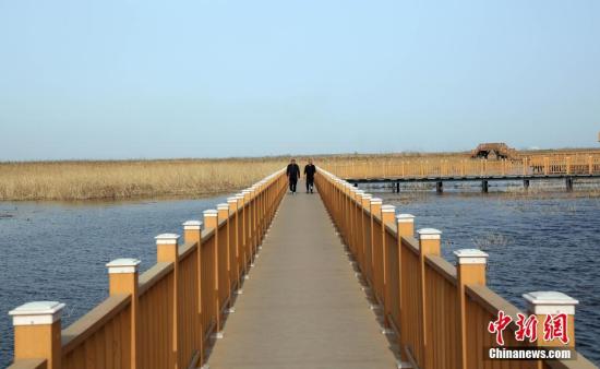 ��������վ�ɫ������ ��