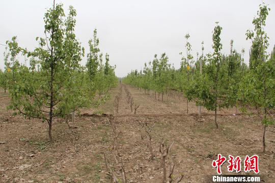 2018���½�����Ͷ��82��ʵʩ������˻��񹤳̣�ͼ��