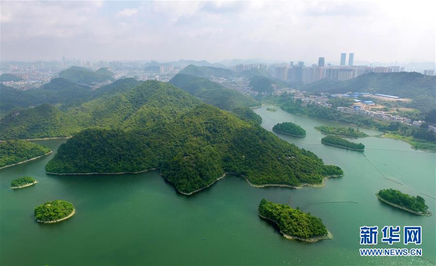 #����ᣩ��1�������������������뻭��