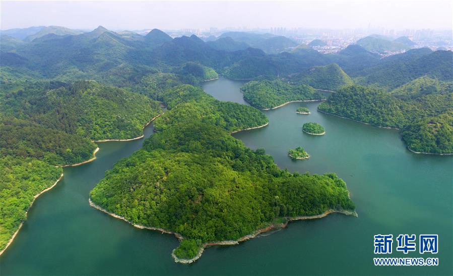 #����ᣩ��4�������������������뻭��