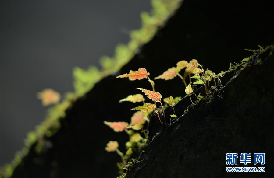 #����������4��������ʩ������ӡ���̬֮��