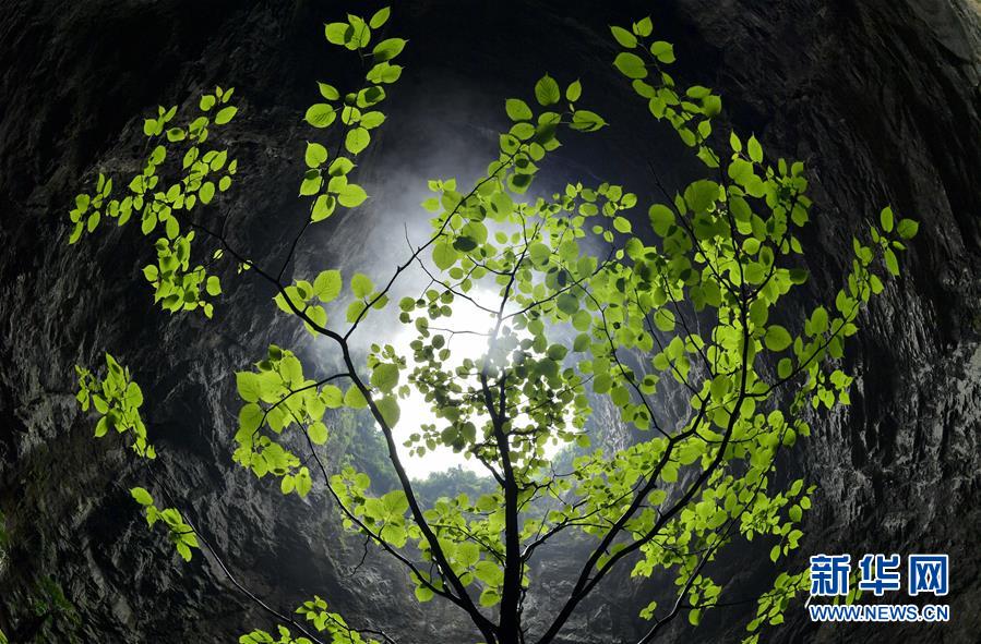 #����������3��������ʩ������ӡ���̬֮��