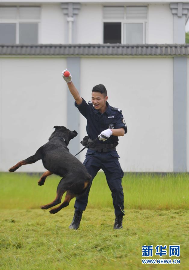 #����ᣩ��1��������ʩ����Ȯҵ�������