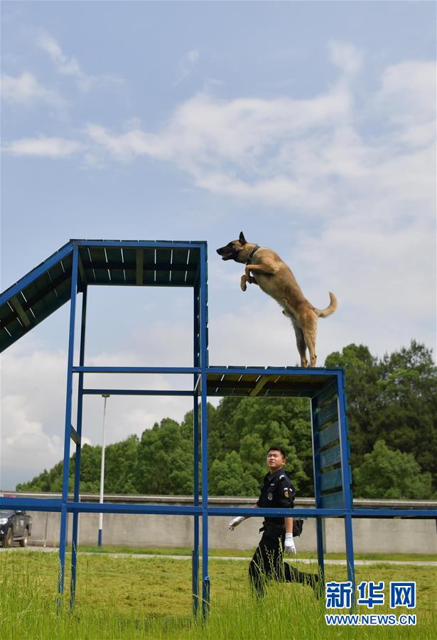 #����ᣩ��3��������ʩ����Ȯҵ�������