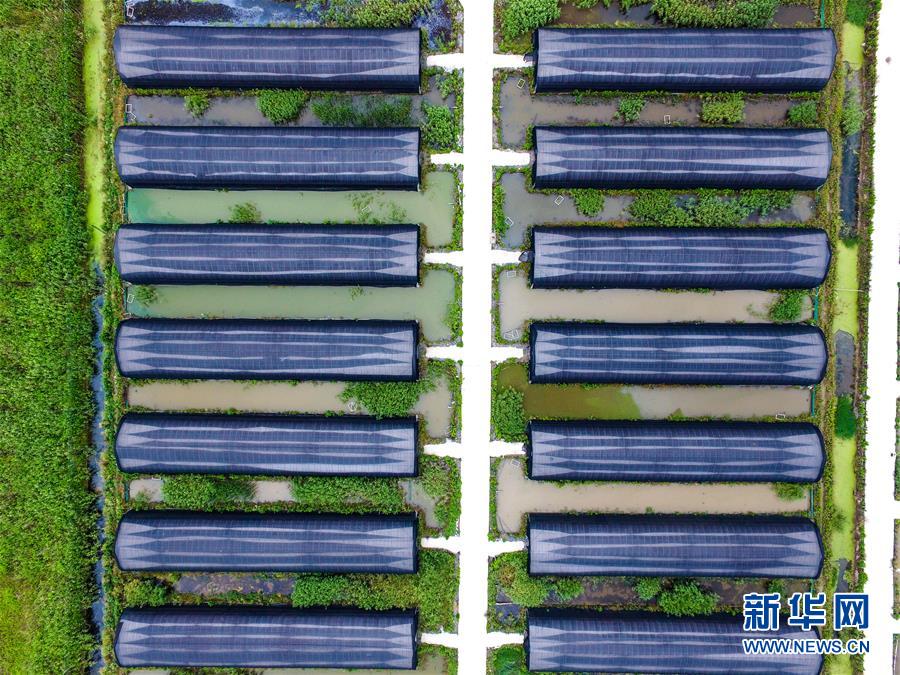 ã3㽭ϪμؿƼֲִũҵ