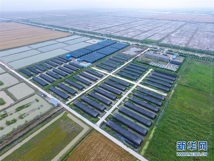 ã6㽭ϪμؿƼֲִũҵ