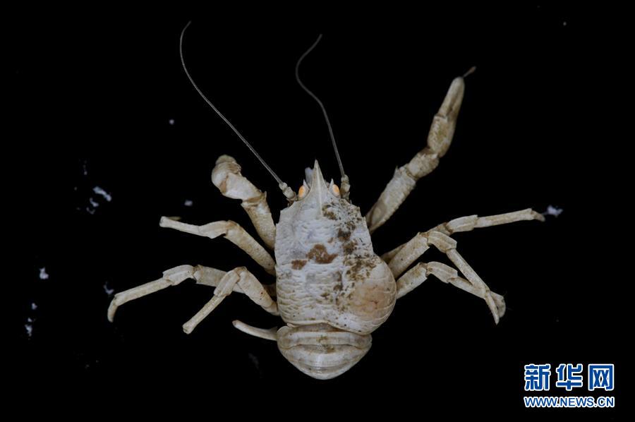 ͼĻ10ϺȪ̽غ׵ġޡ