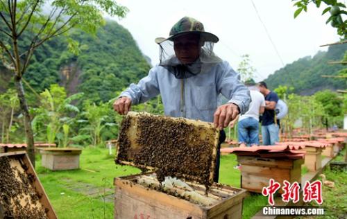 ��ƽ�����¾�����ƶʾ���������ڹ������¾����л��۷䡣������ ��<p align=