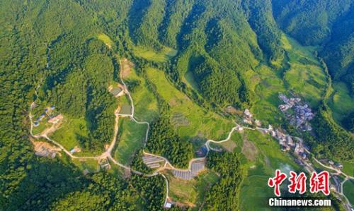 ��ƽ���ᶷ��ɭ���˼ҡ� ��̫» ��ͼ