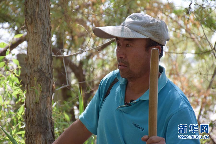 (XHDW·图文互动)(2)中国第二大沙漠边“绿色长城”的守卫者