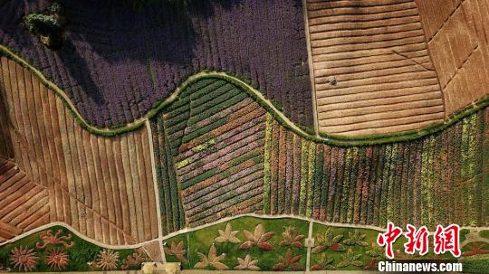 泸州纳溪花草为“针线”“织锦”旧厂房