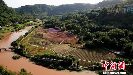别具魅力的乡村田园画卷。 杨涛 摄