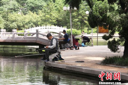 ɽ����ҽ����ϡ����Ϸ���ģʽ�ƽ����仯�Ӿ�����