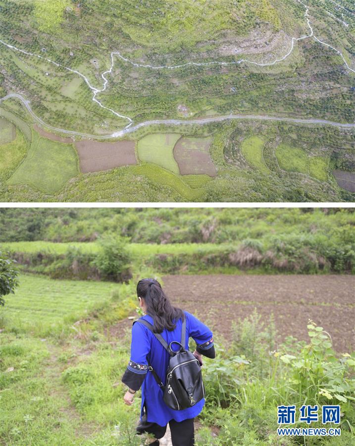 (图片故事)(8)石清香与坪朗村的致富之路