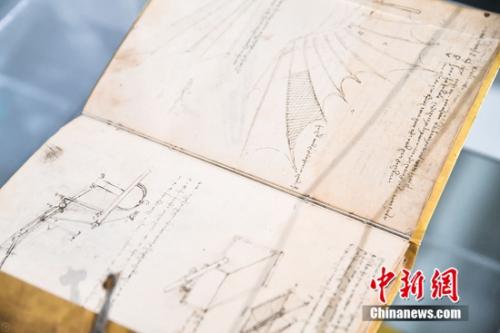 ������ָ�չ��