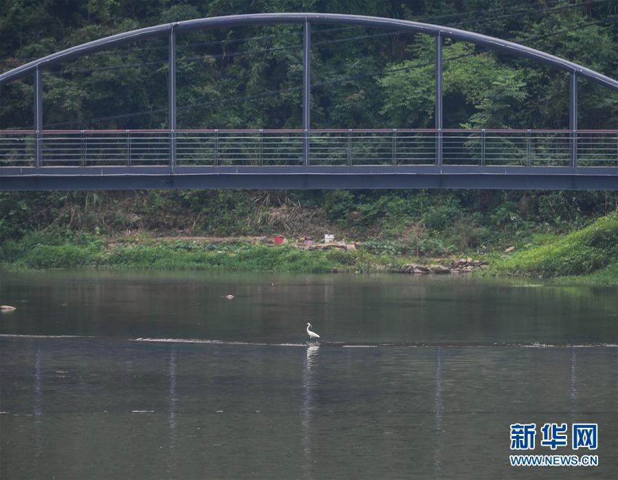 ����ᣩ��5�����ա������ӡ�����������塰���ۺӡ�