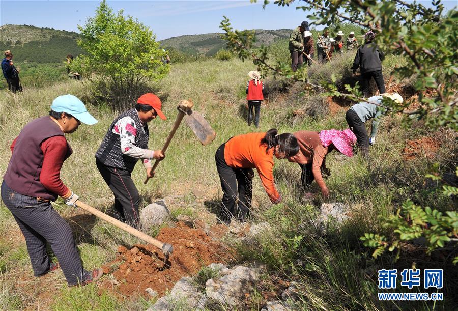 ׳ ܽʱףĸ￪40ꡤ»ӽ磩8̫ɽϵġɫ