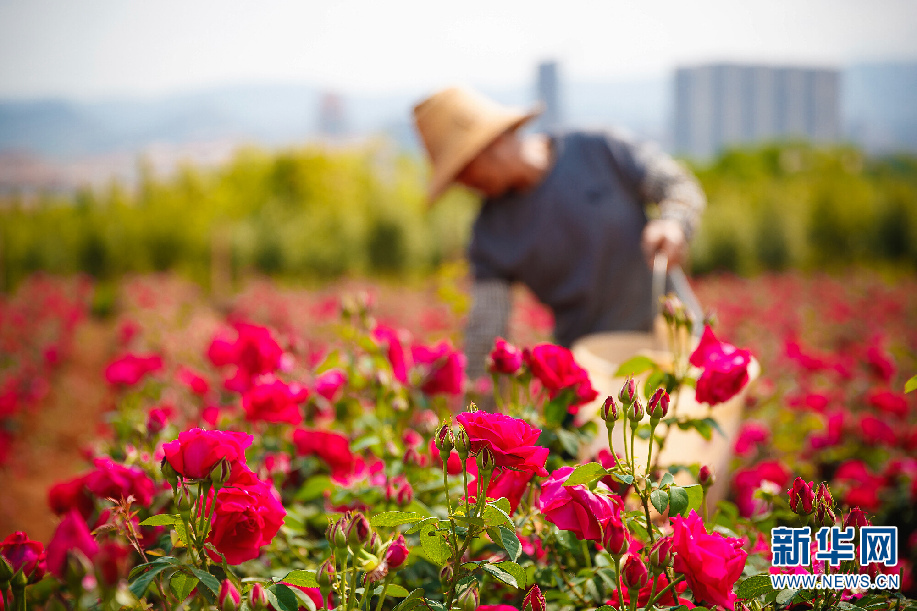 һõһ һУʻ˳ɡ족