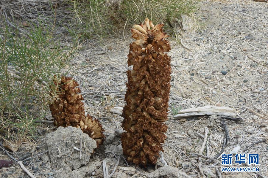 ƶᡤͼĻ3ȻҸޱߡ½ˮߵȻЭ