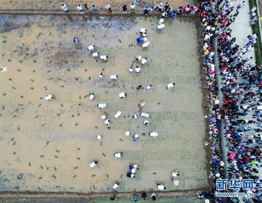 ����ᣩ��2���������ٰ�â��Ȥζ�������ڡ�