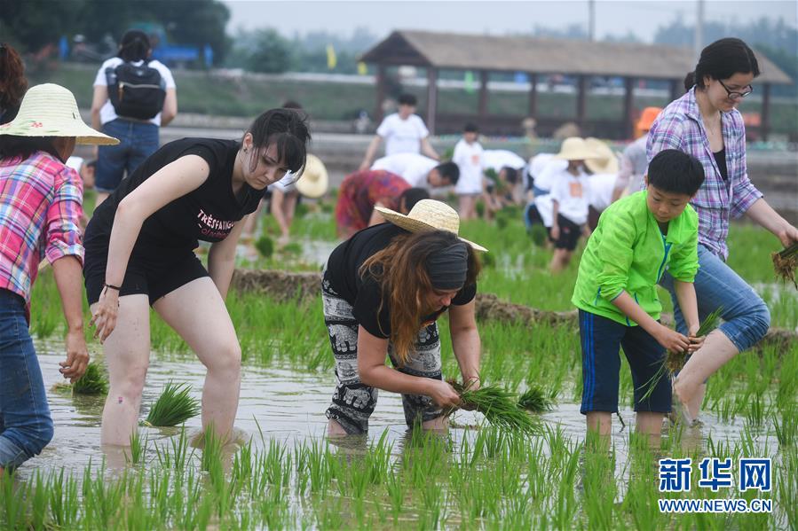 ����ᣩ��6���������ٰ�â��Ȥζ�������ڡ�