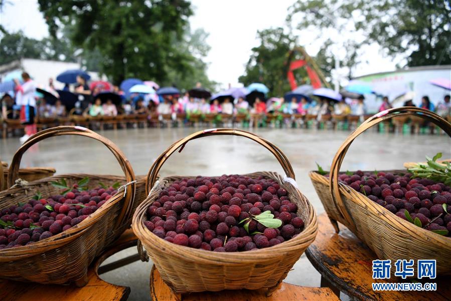 #����ᣩ��3�������Ž���Ȥζ��÷��ӭ�ķ���