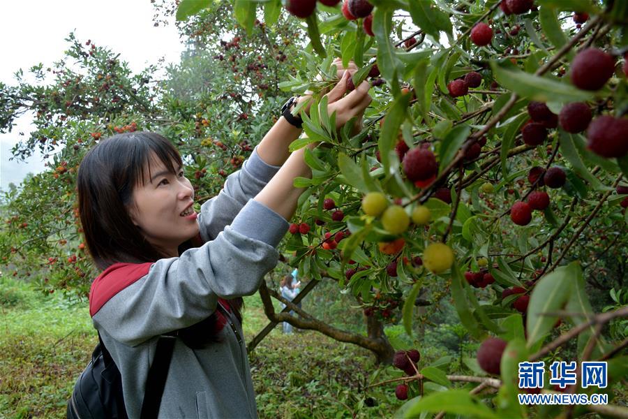 #����ᣩ��4�������Ž���Ȥζ��÷��ӭ�ķ���