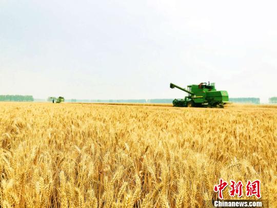 2017ڼܵꡢ20184¶Ӱ죬۲죬ĿǰʡƷũСƽϺãճ2017ƽ 