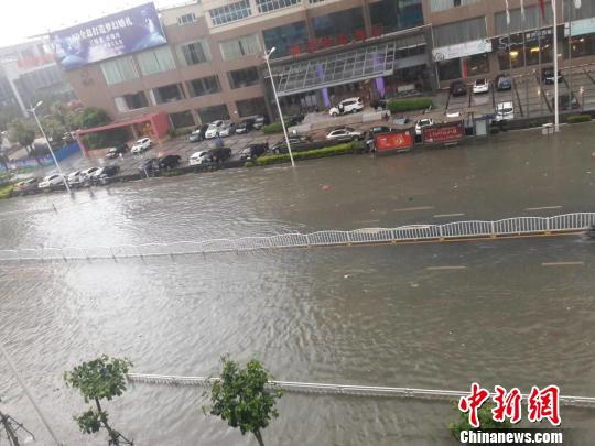 �����½�й��׸�̨���о�����Ŀǰδ����ش���ʧ