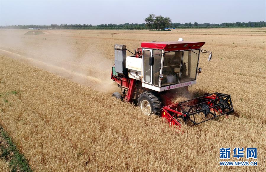 �����ã���3���ӱ��������ġ�æ����