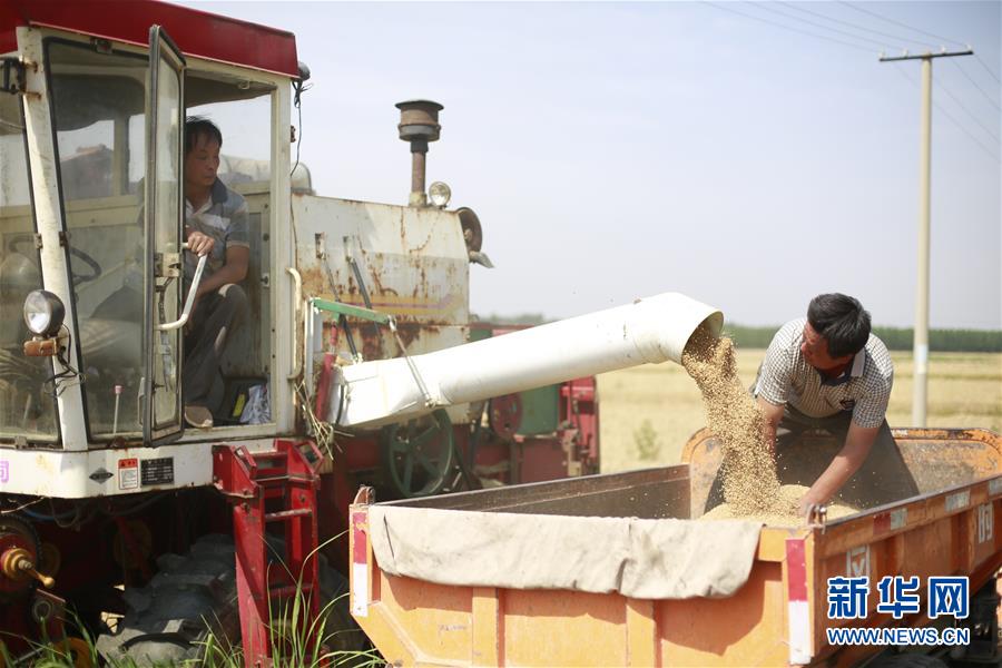 �����ã���2���ӱ��������ġ�æ����