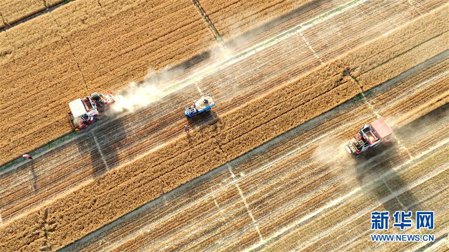 �����ã���6���ӱ��������ġ�æ����