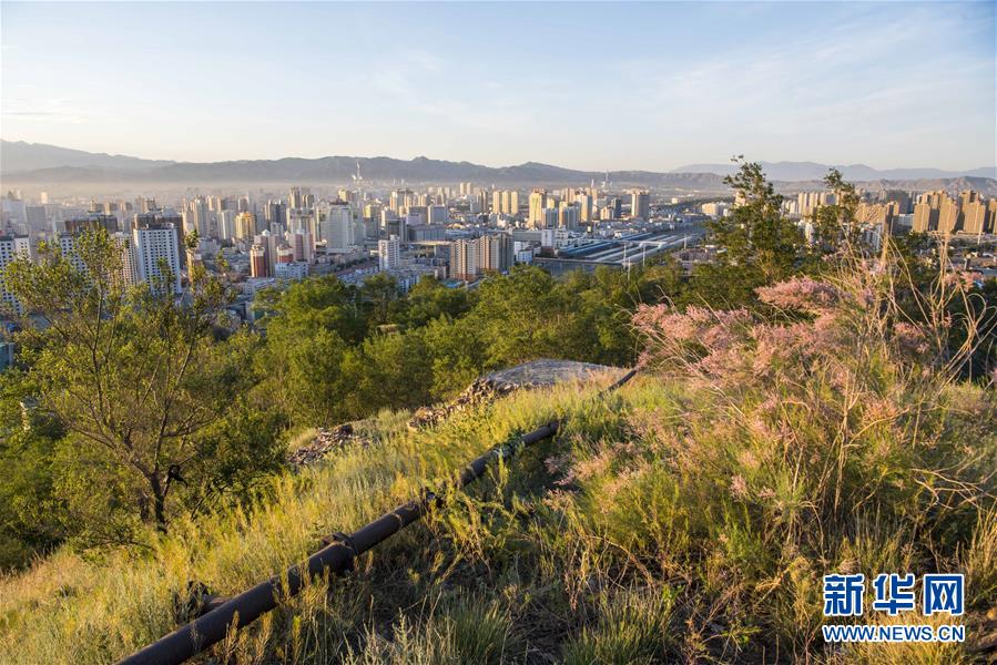 (环境)(1)乌鲁木齐:接力播绿 荒山换新颜