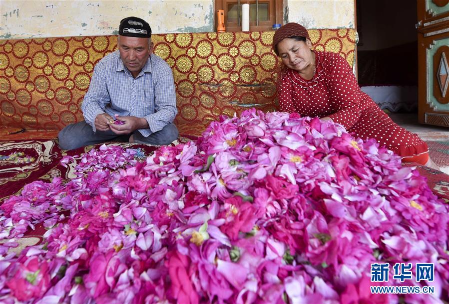 (图文互动)(4)挖玉人的“玫瑰经”