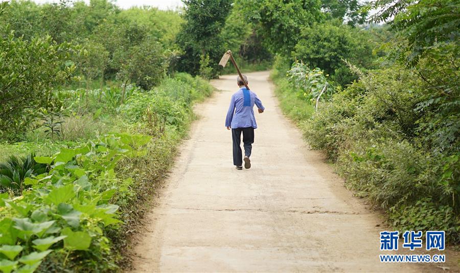 (图片故事)(5)父亲的守护