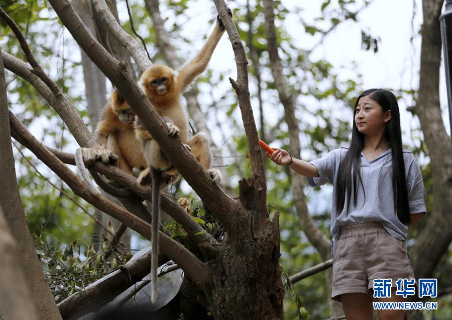 ����̬����1������ԣ�ӣ�������������ɽ