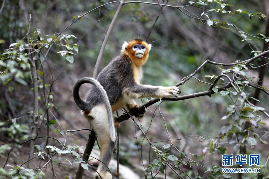 ����̬����3������ԣ�ӣ�������������ɽ