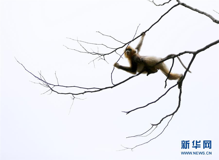 ����̬����5������ԣ�ӣ�������������ɽ