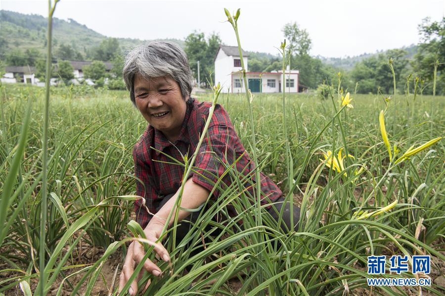 ƶᣩ10ϣҵں̾ɽƶ·