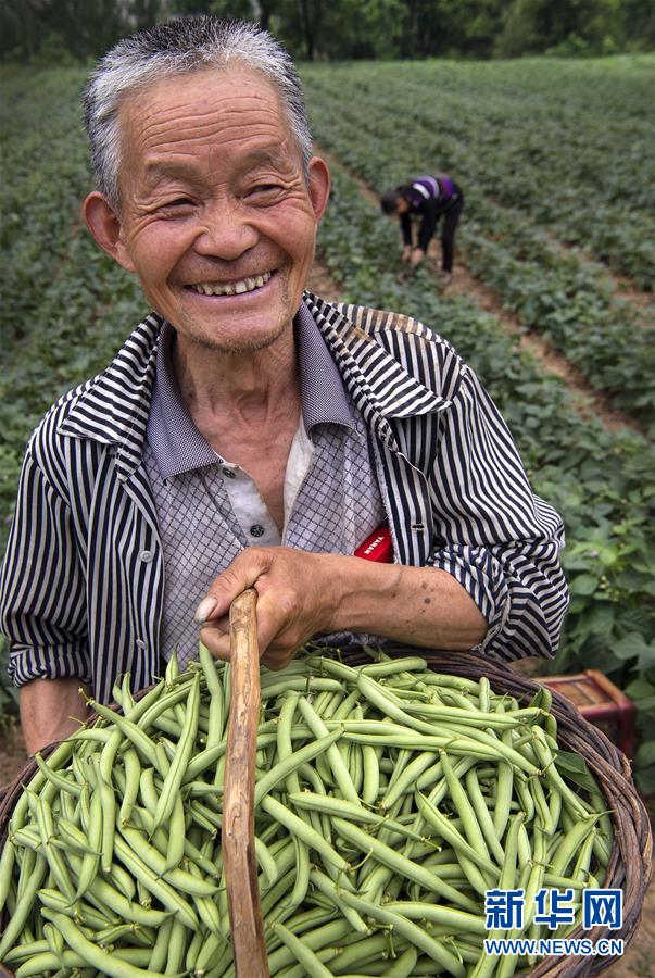 ƶᣩ11ϣҵں̾ɽƶ·