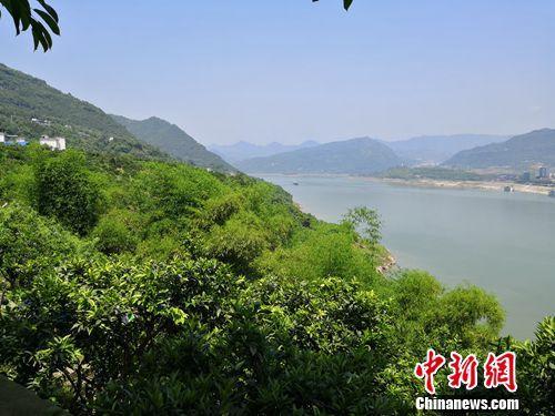 审计“把脉问诊”长江经济带生态环境力促高质量开发与保护