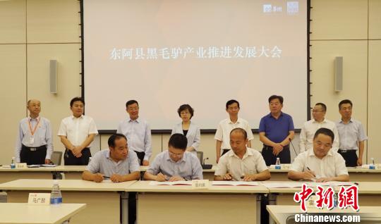 6��19������ɽ��ʡ������60����¿���붫��������ë¿��ֳ����רҵ��Աǩ���ˡ�һ��һ�����Э�顣�������� ��