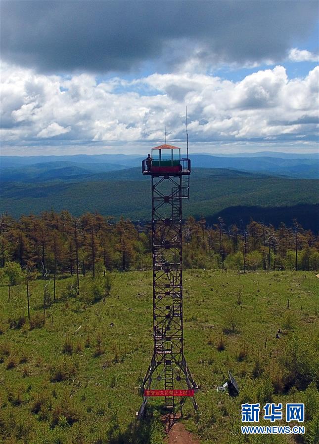 (图片故事)(1)32年,林海中的守望