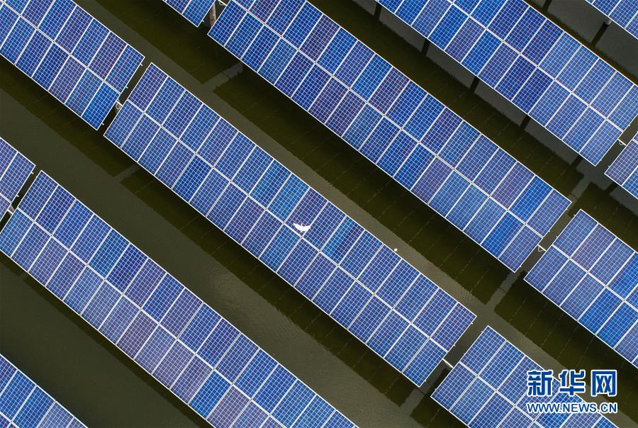 (经济)(4)浙江湖州:千亩鱼塘变身“绿色发电站”