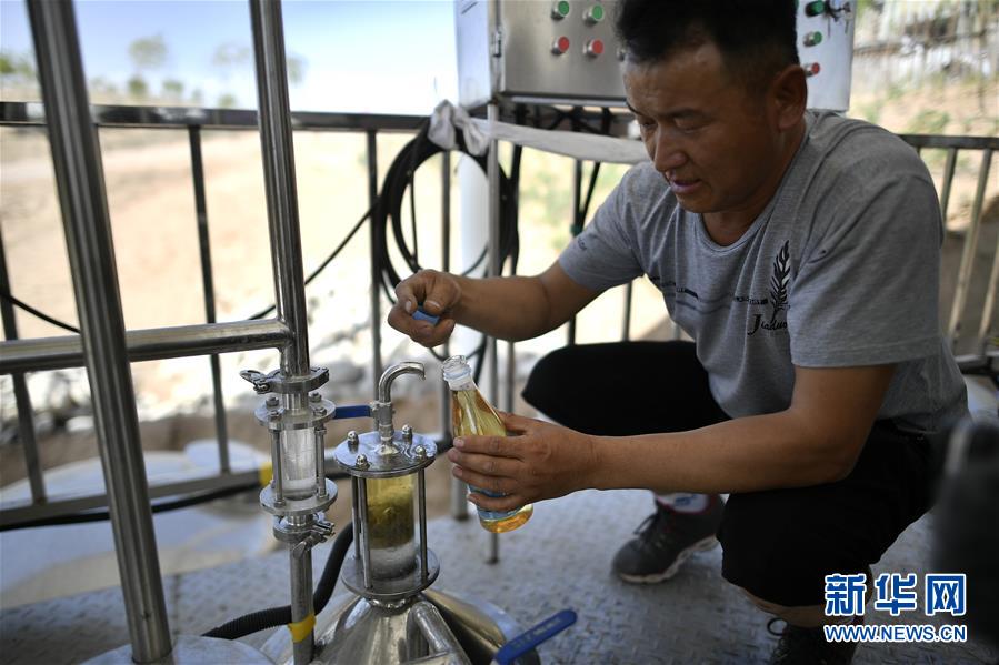 (经济)(8)耕作“沙海” 收获芳香