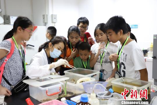 ��ۡ��㶫��̬����̽��֮�á������ŵ����ݺ��زιۡ����ݺ��ع�ͼ