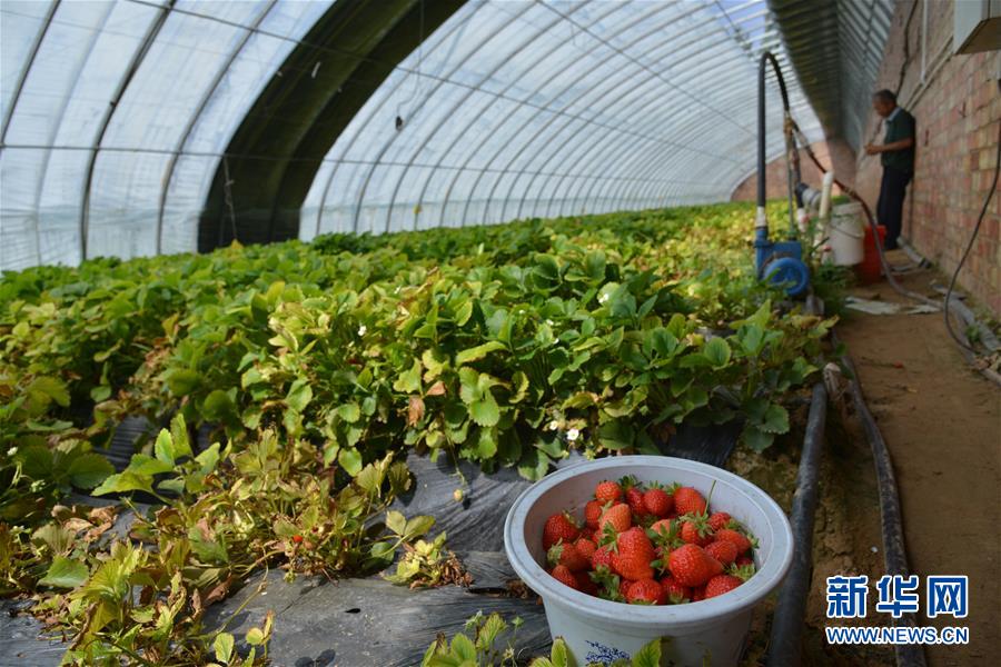 ᣩ2ʤ壺+ģʽôС