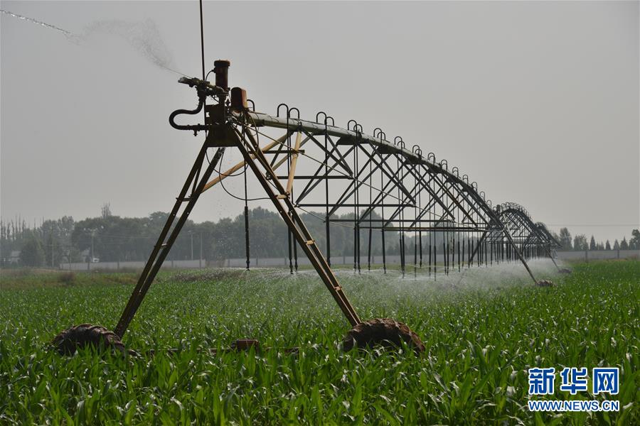 ᣩ4ʤ壺+ģʽôС